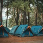 Kamp İçin Gerekli Malzemeler Listesi